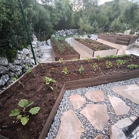 Villa Ilir Neum Luaran gambar