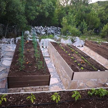 Villa Ilir Neum Luaran gambar